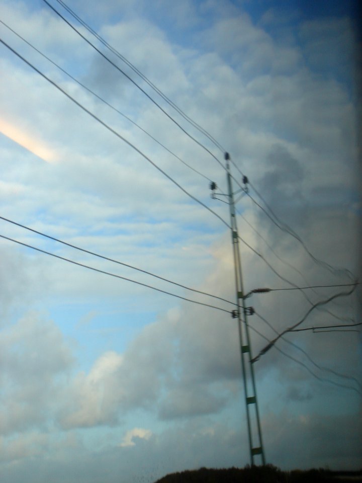 dsc05330.jpg 