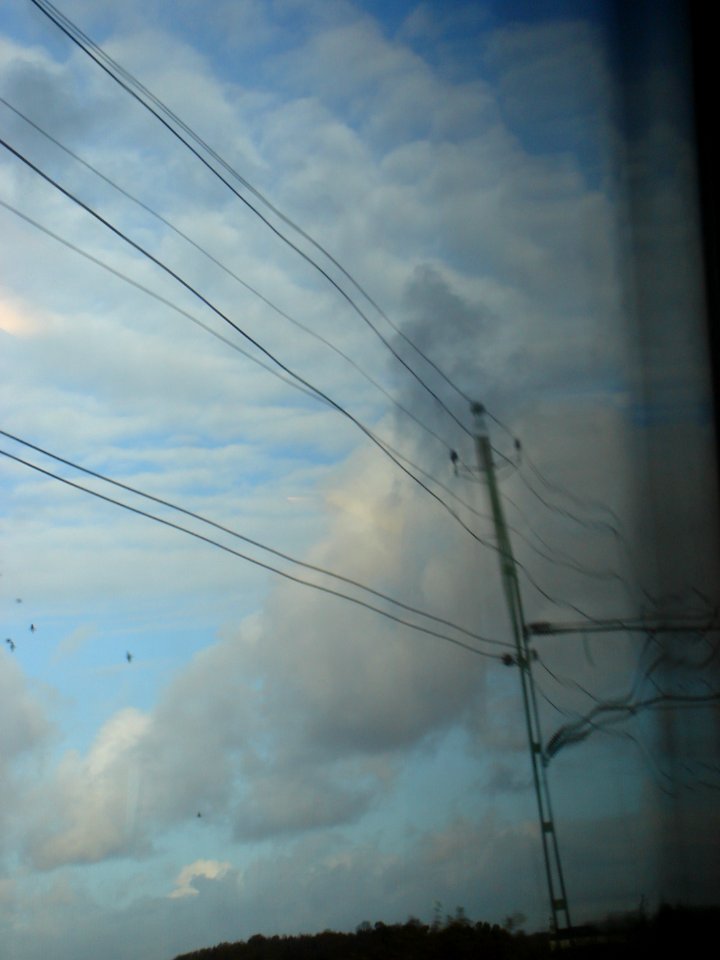 dsc05329.jpg 
