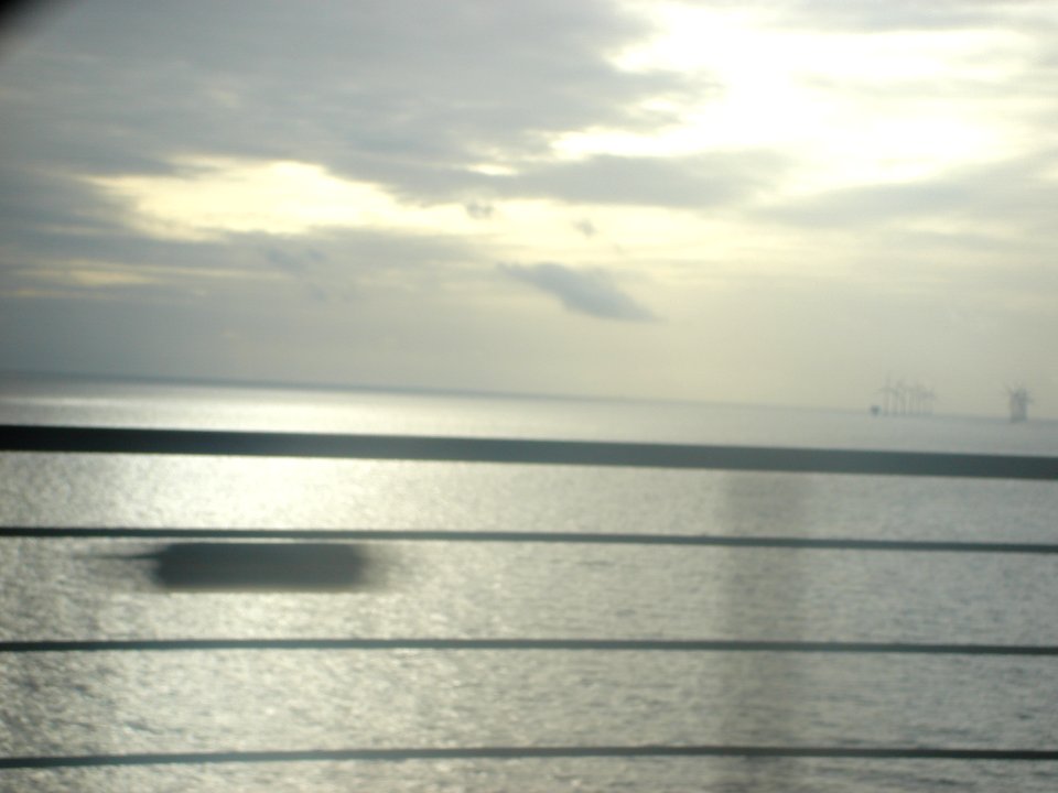dsc05335.jpg 