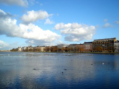 dsc05355.jpg 