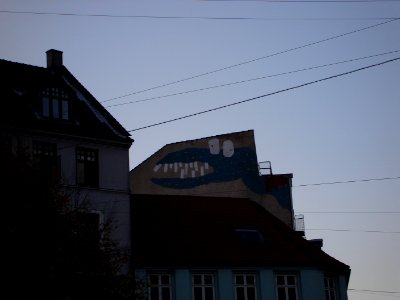 dsc05376.jpg 