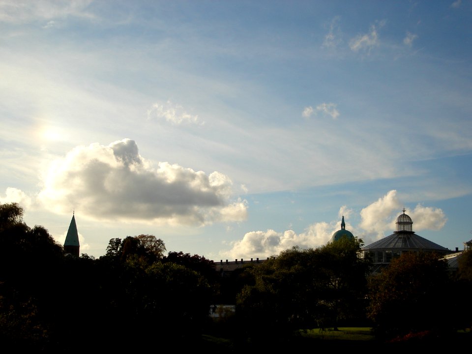 dsc05391.jpg 