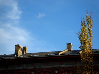 dsc05393.jpg 