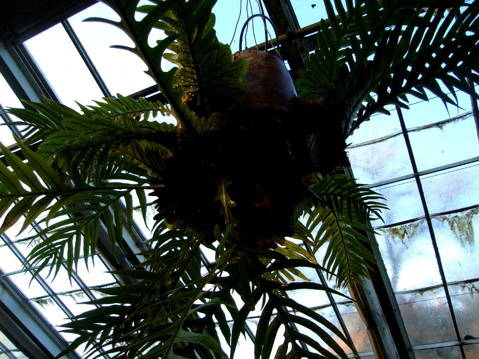 dsc05406.jpg 