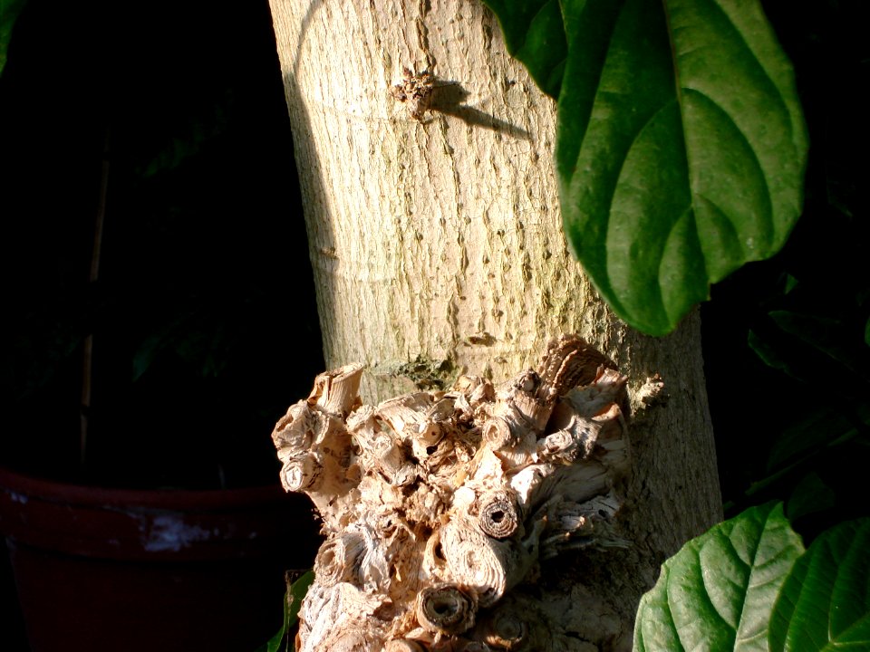 dsc05417.jpg 
