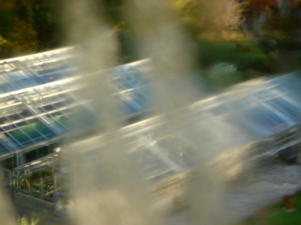 dsc05428.jpg 