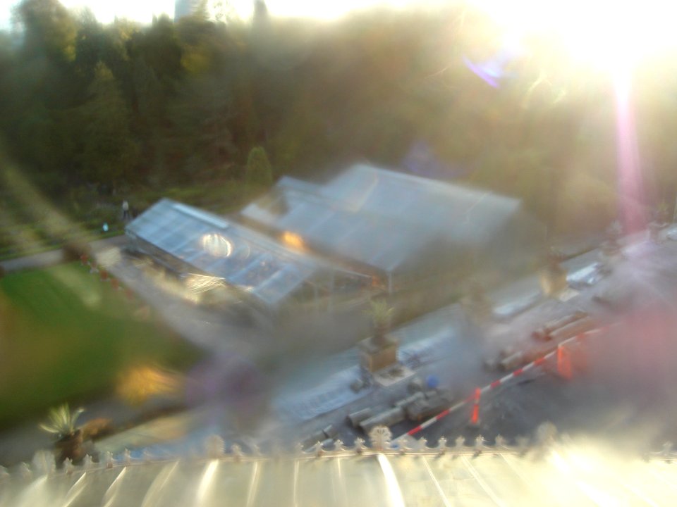 dsc05425.jpg 