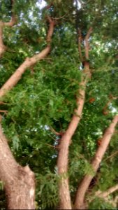 IMG_20160917_144303597 