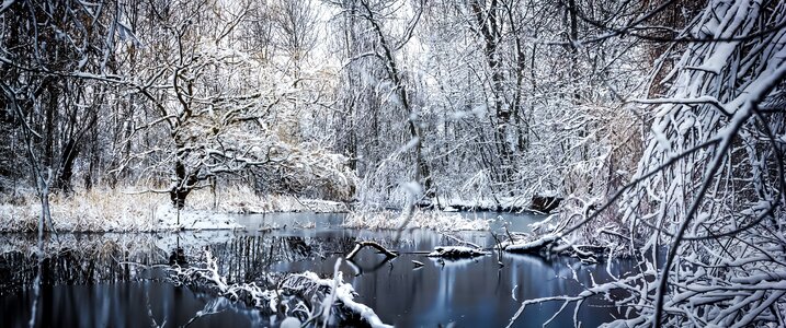 Nature landscapes winter magic