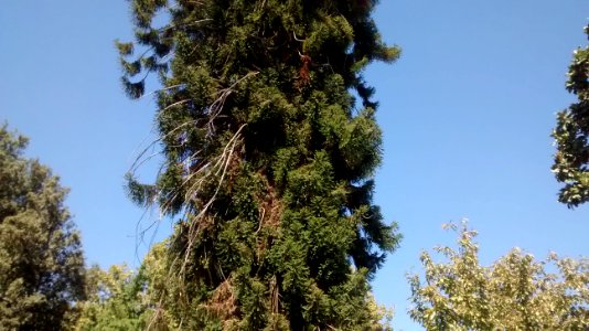 IMG_20160917_144629949 