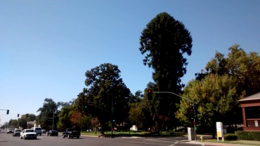 IMG_20160917_144756942 