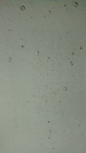 IMG_20161030_095213745 