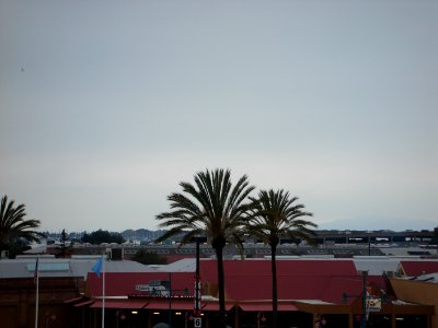 dsc05557.jpg 