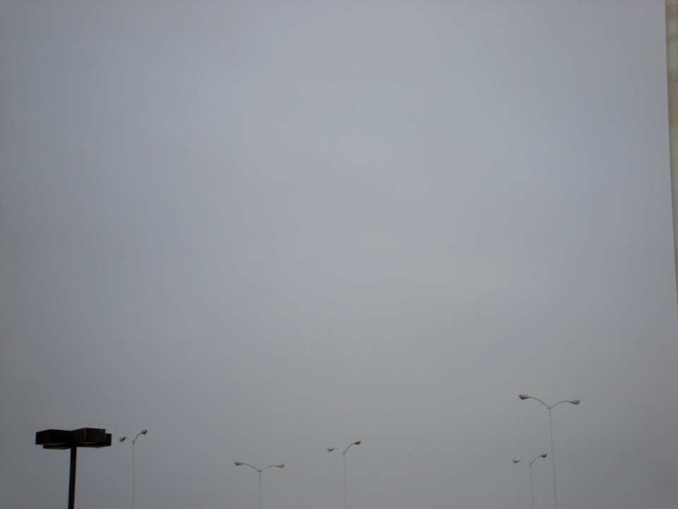 dsc05608.jpg 