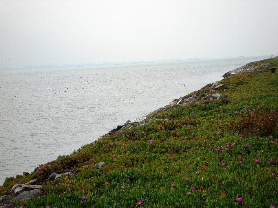 dsc05613.jpg 