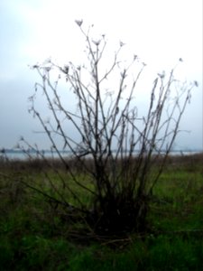 dsc05606.jpg 