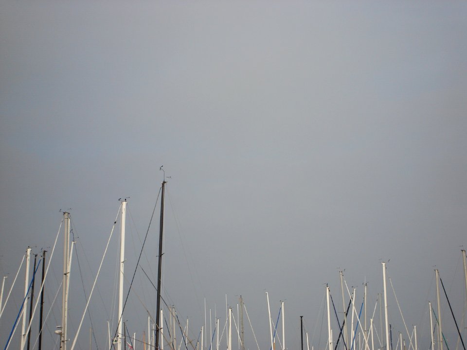 dsc05618.jpg 