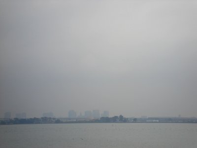 dsc05619.jpg 