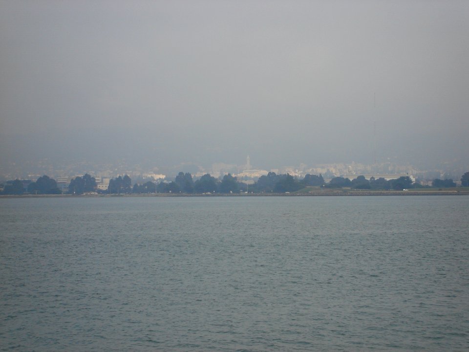 dsc05629.jpg 