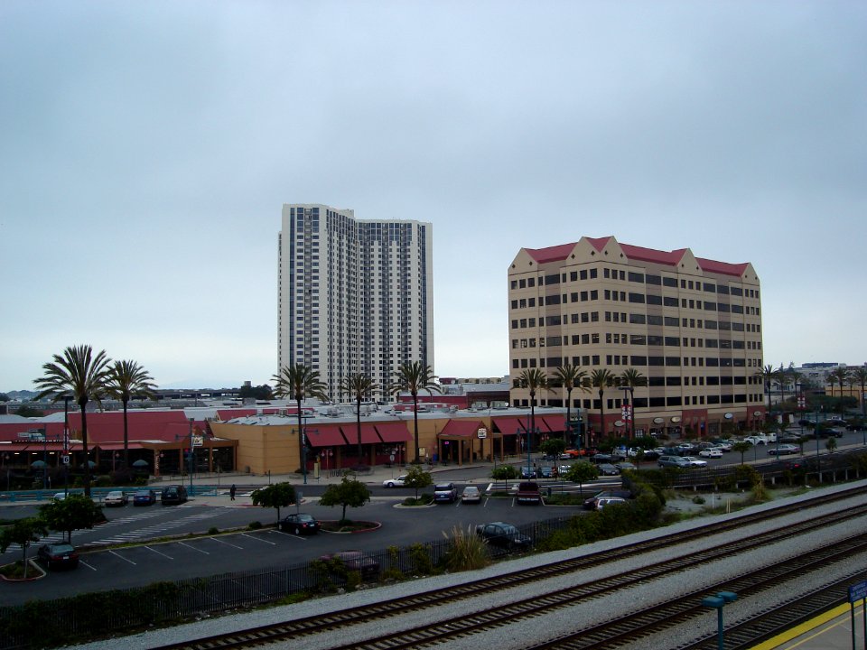 dsc05555.jpg 