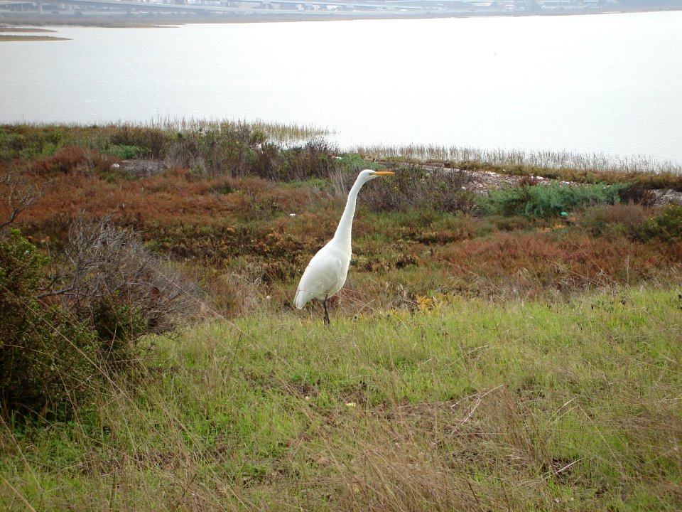 dsc05601.jpg 
