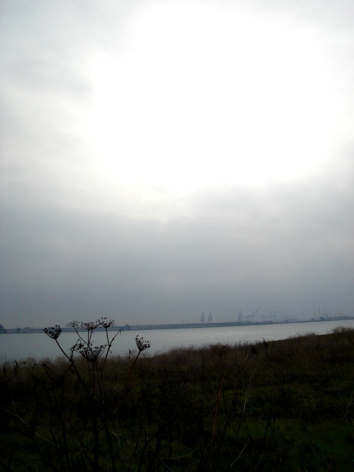 dsc05607.jpg 