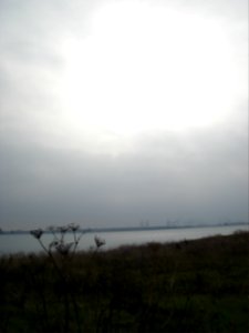 dsc05607.jpg 