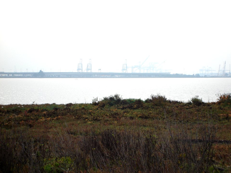dsc05591.jpg 