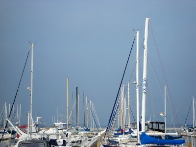 dsc05616.jpg 