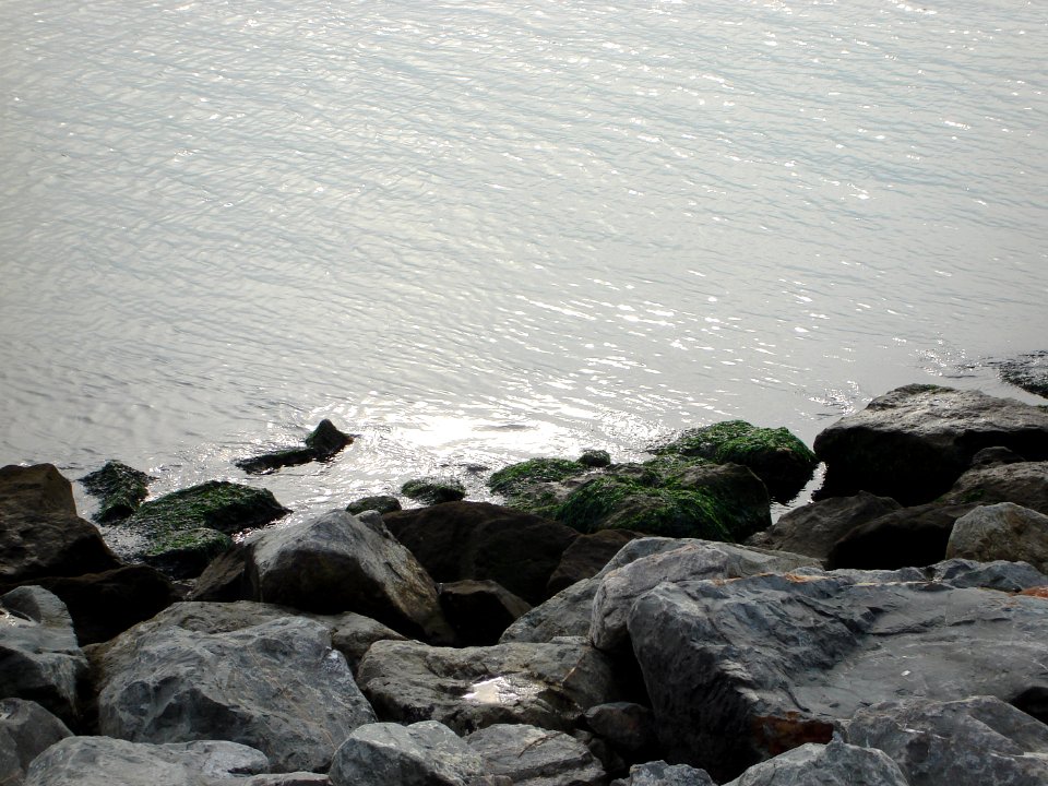 dsc05620.jpg 
