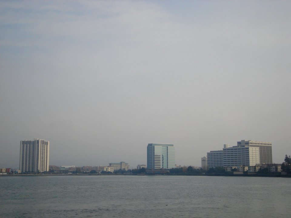dsc05635.jpg 