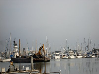 dsc05645.jpg 
