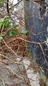 IMG_20161210_135614378 