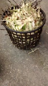 IMG_20161210_130711460 