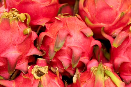 Fresh macro beautiful