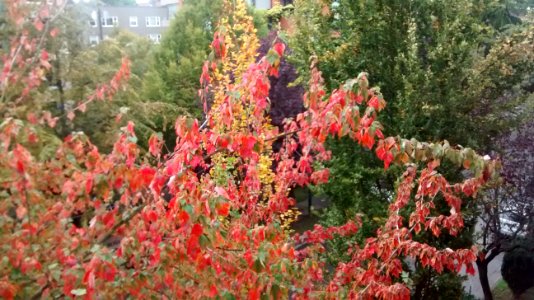 IMG_20161006_093001816 