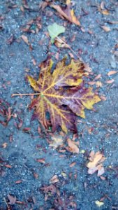 IMG_20161007_140022446 