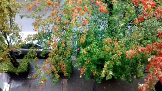 IMG_20161008_173952811 