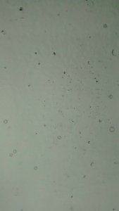 IMG_20161030_095221626 