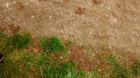 IMG_20161007_140738438 