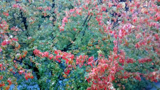 IMG_20161008_174005020 