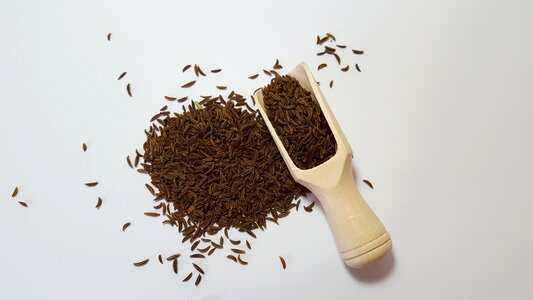 Caraway herbs spices