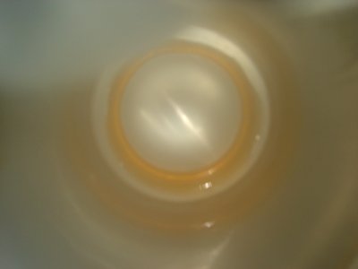dsc05860.jpg 