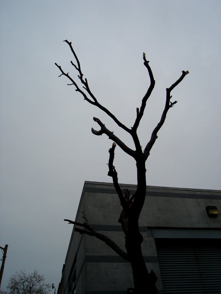 dsc05837.jpg 