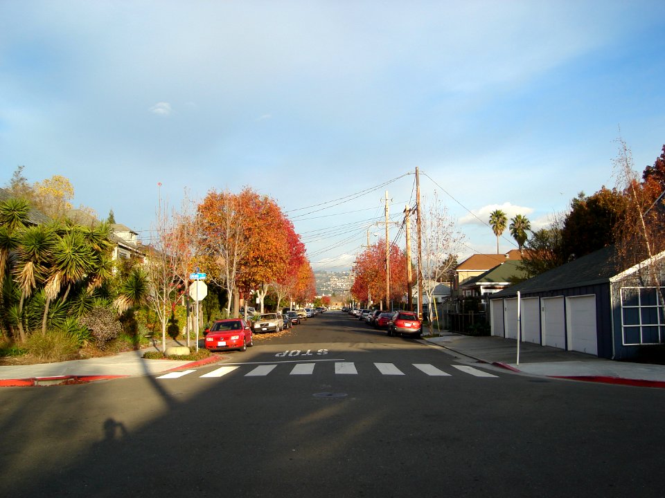 dsc05939.jpg 