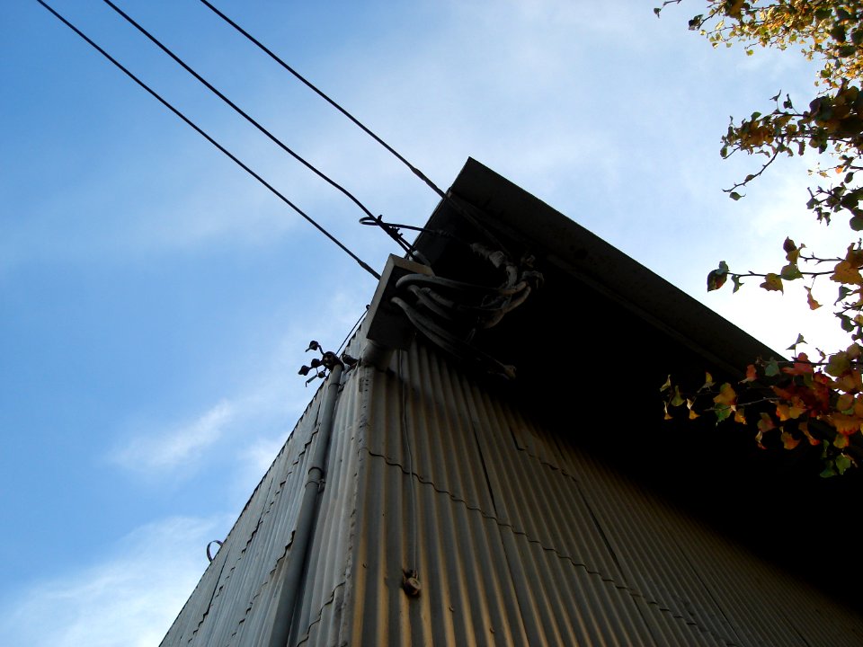 dsc05944.jpg 