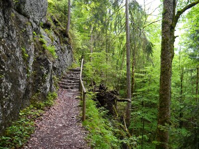 Hiking bavaria ludwig trail photo