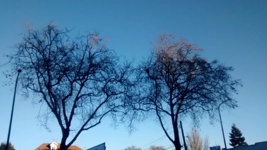 IMG_20161228_160941654 