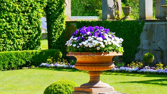 Flower bowl summer romantic