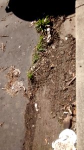 IMG_20170313_134937675 